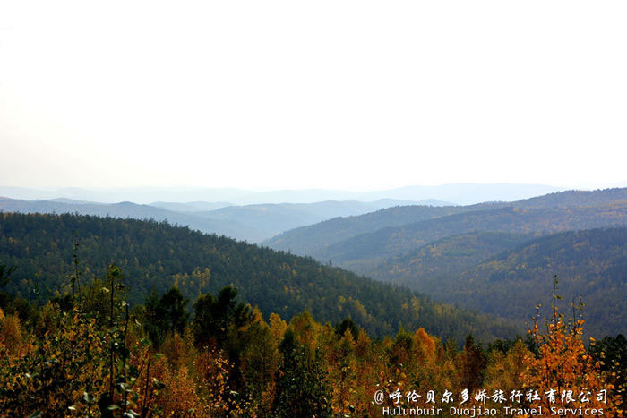 漠河秋景