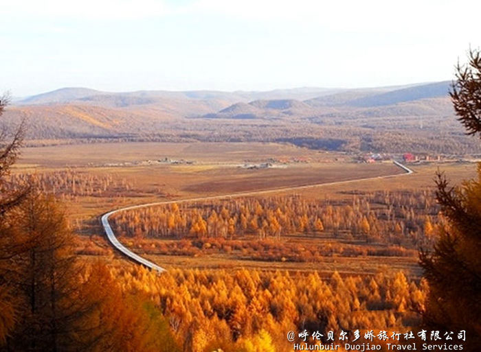 漠河秋季风景