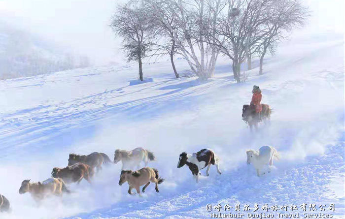 阿尔山冬季冰雪景色